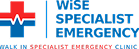 wise specialist logo