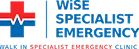 wise specialist logo